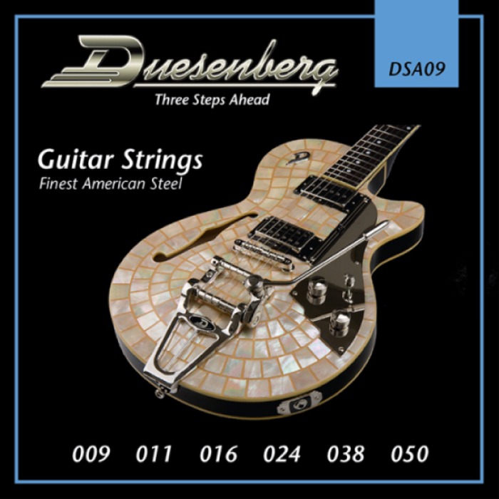 Duesenberg 듀젠버그 기타 스트링 (DSA09)